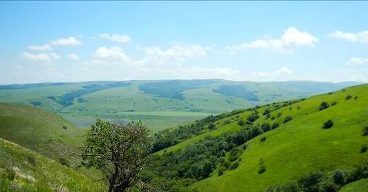 Природный комплекс краснодарского края. Отрадненский заказник Краснодарский край.