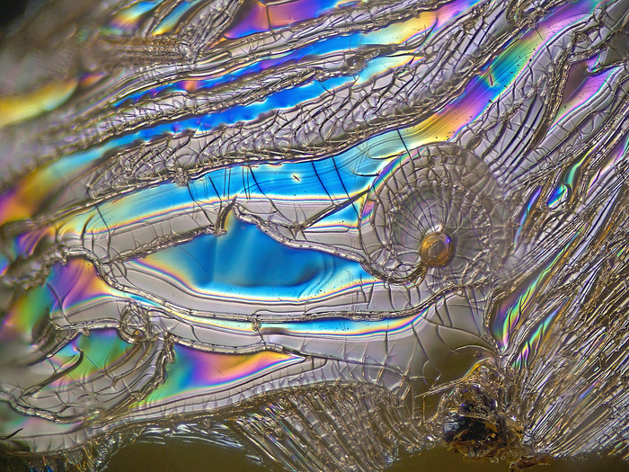 Древние структуры