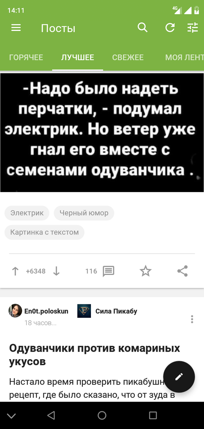 Одуванчики