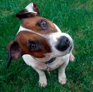 ����� �� ���� ��� ������ ���� �� ����