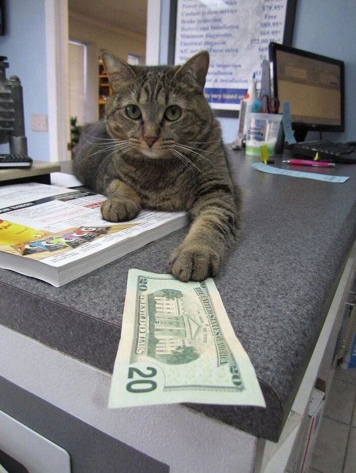 20 bucks is 20 bucks , , 20 