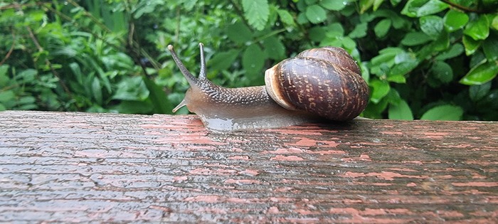 ����� �������, �� ���� �������...