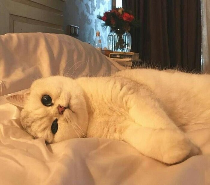 , !    