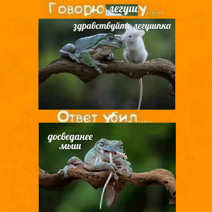   ... Dank Memes, , , ,   