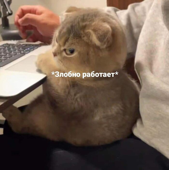 Когда понял что сегодня не пятница...