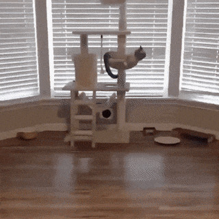      , , , 