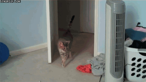      , , , 