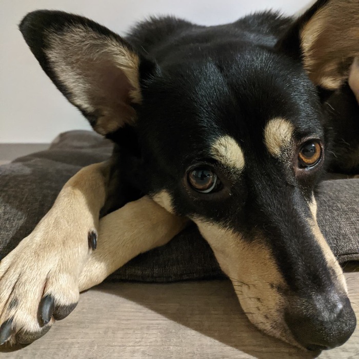 ������� ��������