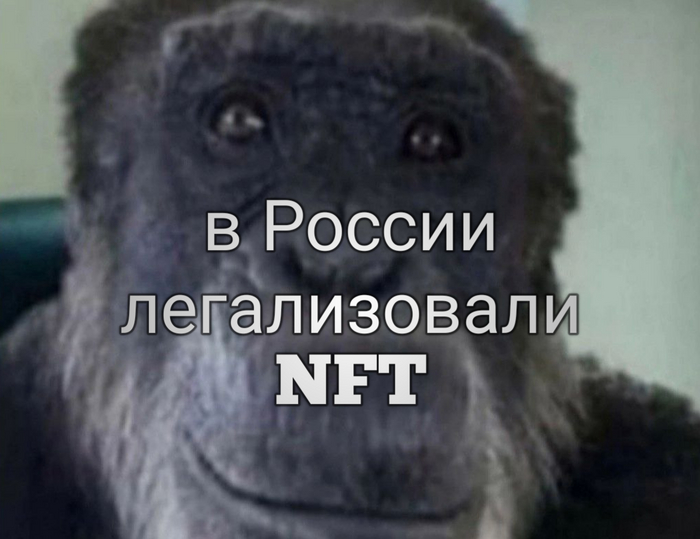 Законопроект об NFT