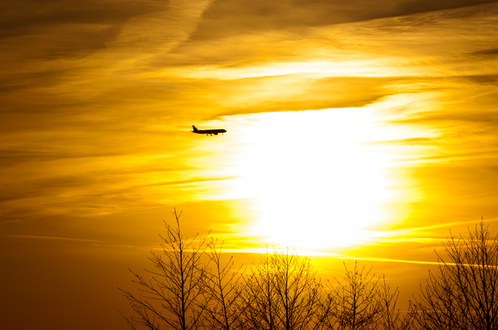 Вечерний рейс