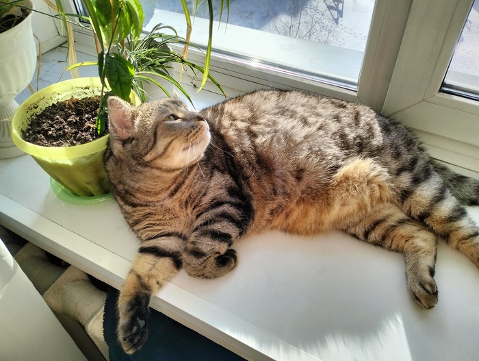 ������� �� ������