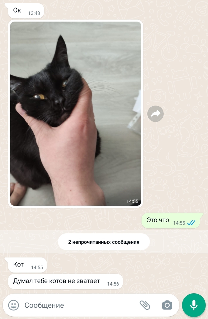 ����� ����