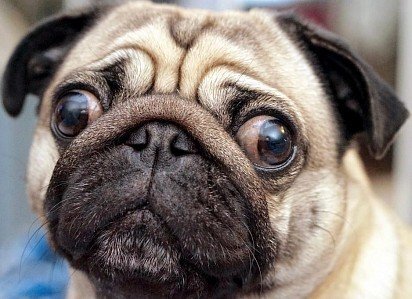 ���� ����� �������?...