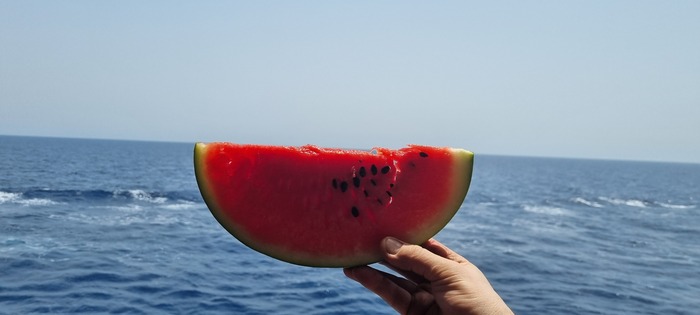 Чистого горизонта Вам! Море, Работа