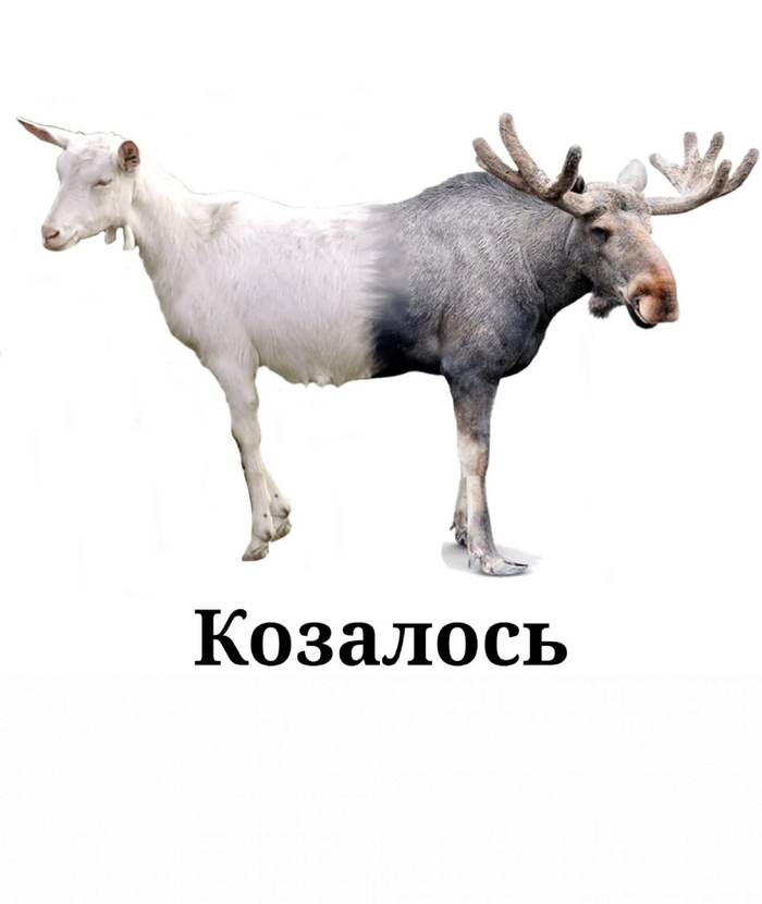 , , 