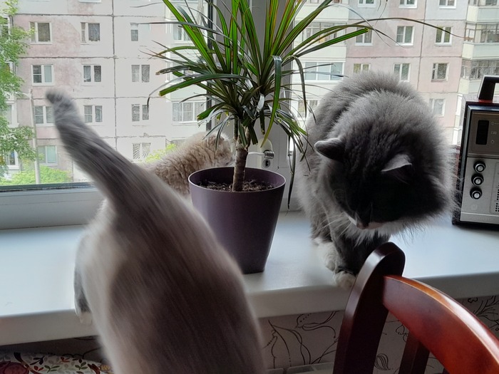 ����� ������� ����� �� ���������...