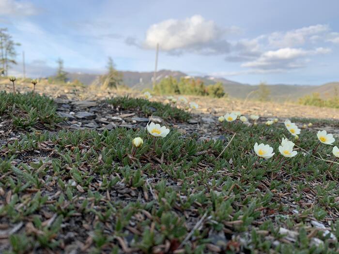 �� ������� ������ ���� ������ ����