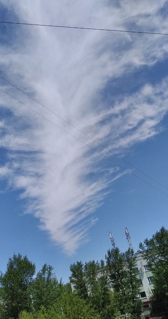 Небесное перо