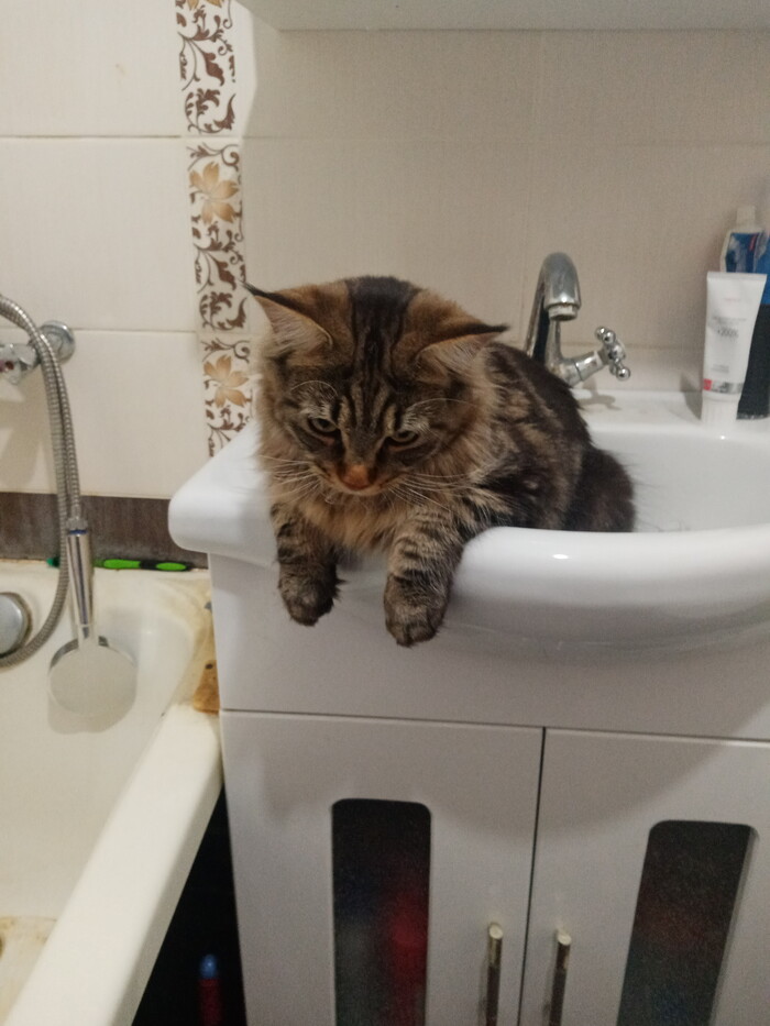 Зашел руки помыть