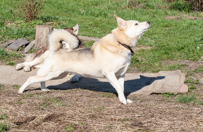 �������� ����������