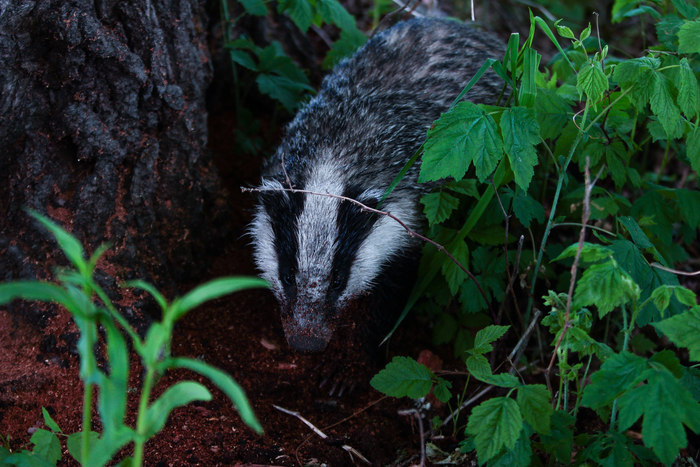 ������ �� ����������� ������������� �����