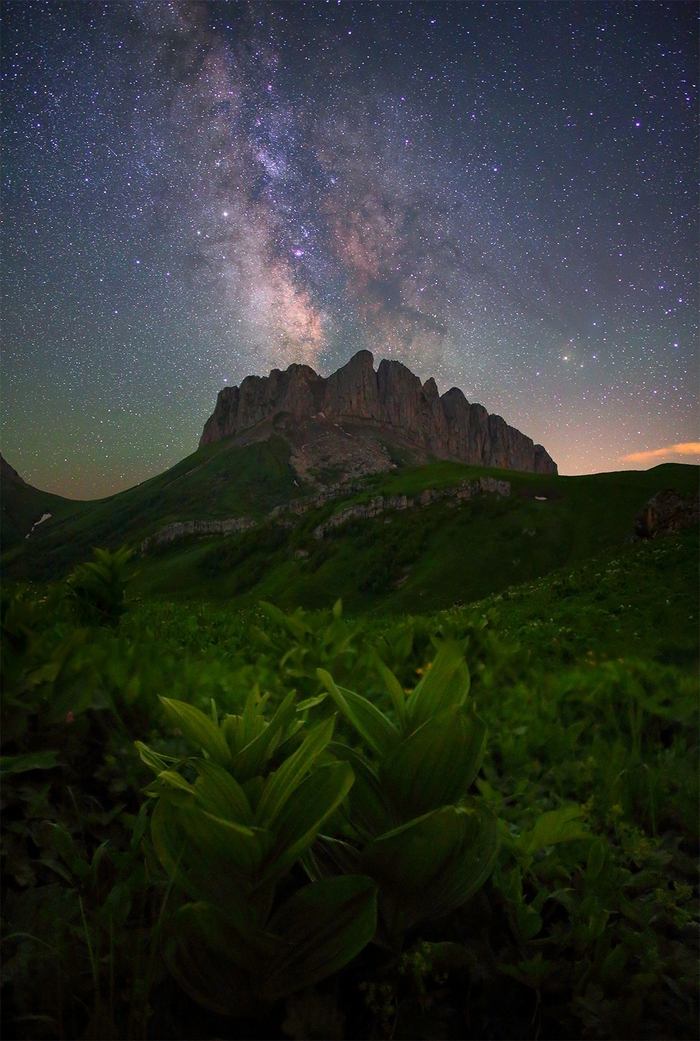 ������� ����