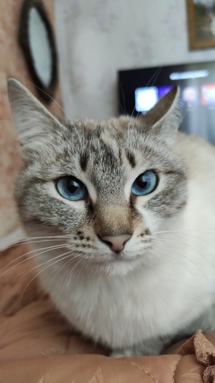 ��� �������