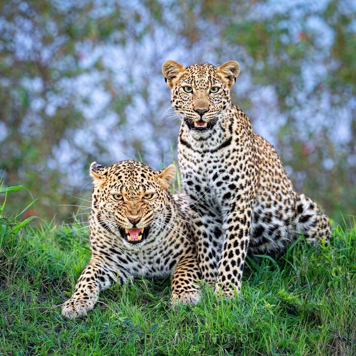 Семейное фото