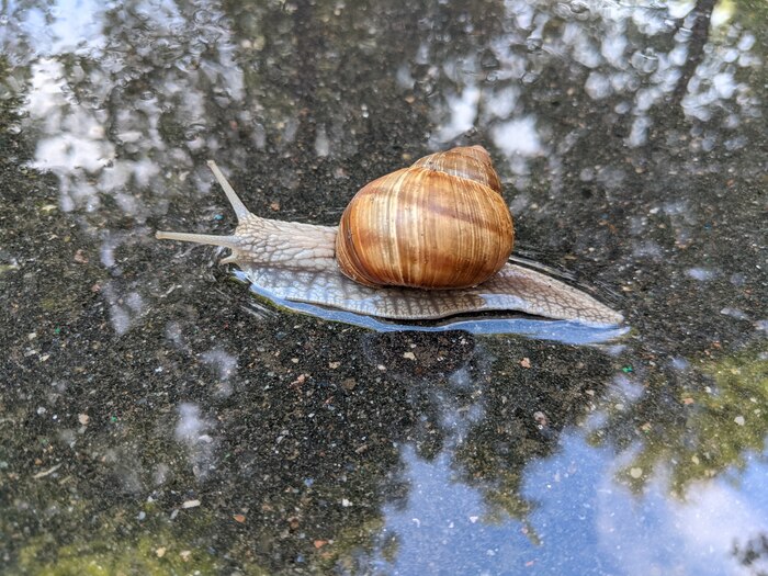 �������� ����� �����