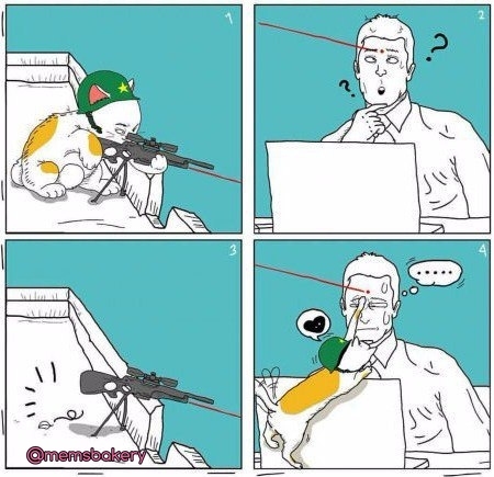 � ���� �� ���� ������