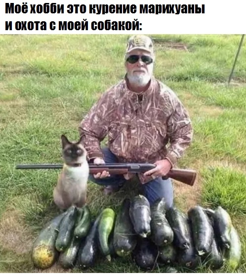 Хобби