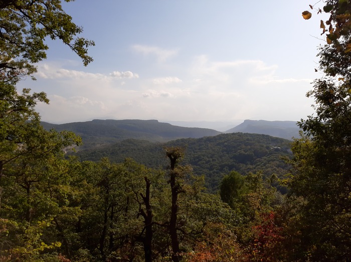 «Плачущий ангел»