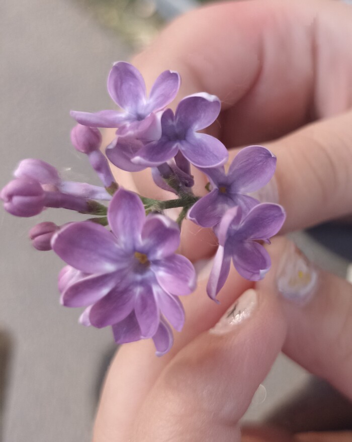 8   , 