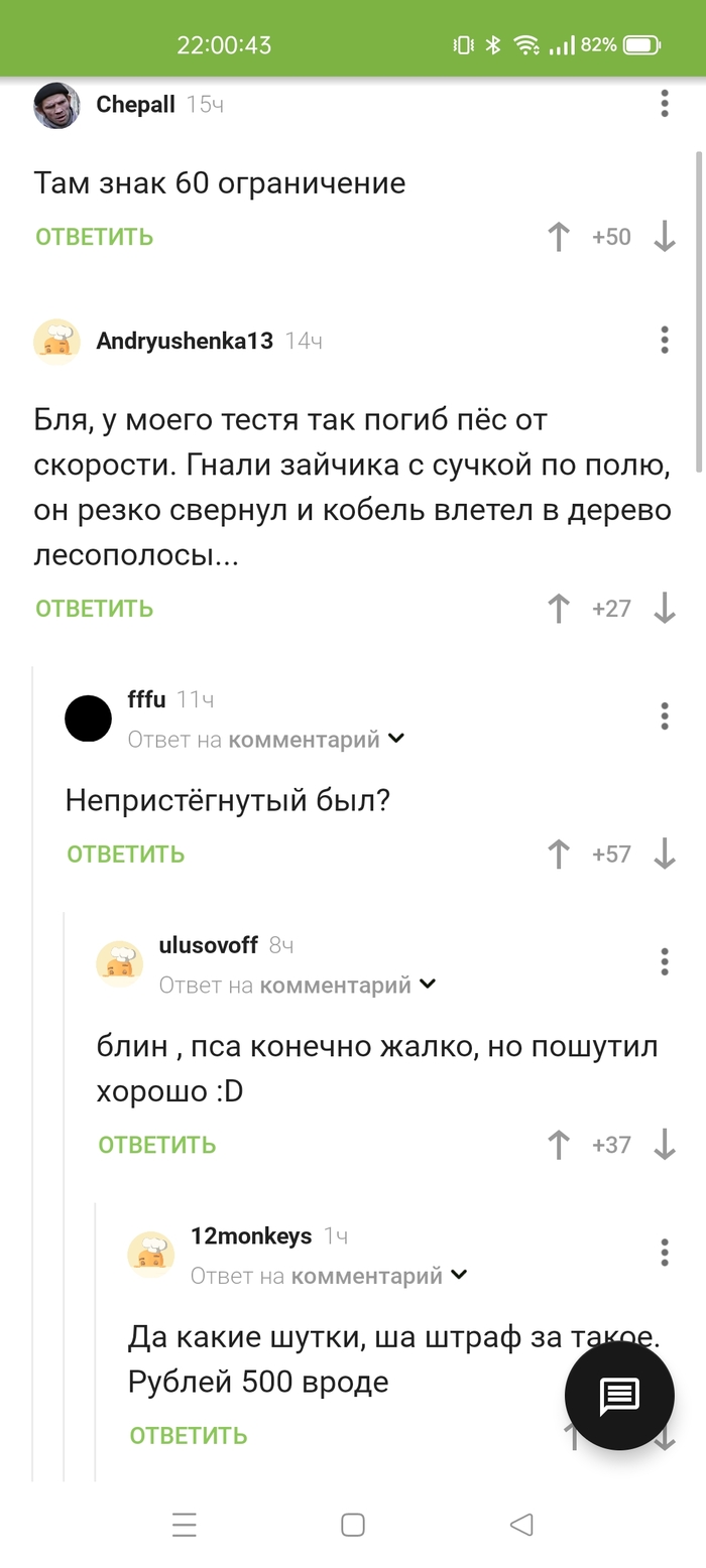 Всегда надо пристёгиваться, даже собаке!