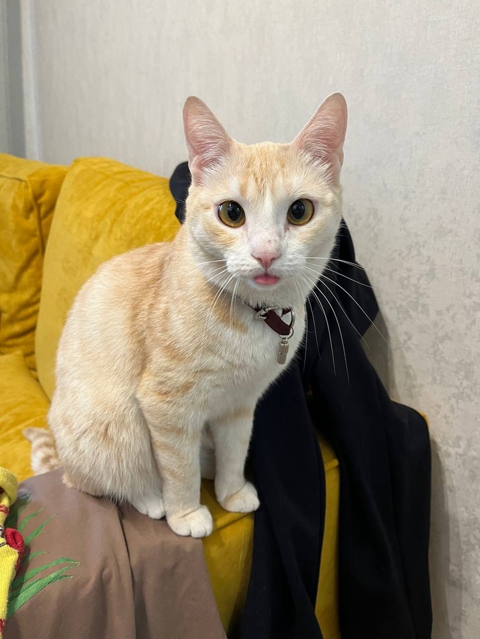 ��� �������