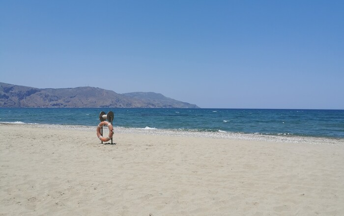 Попы вне политики