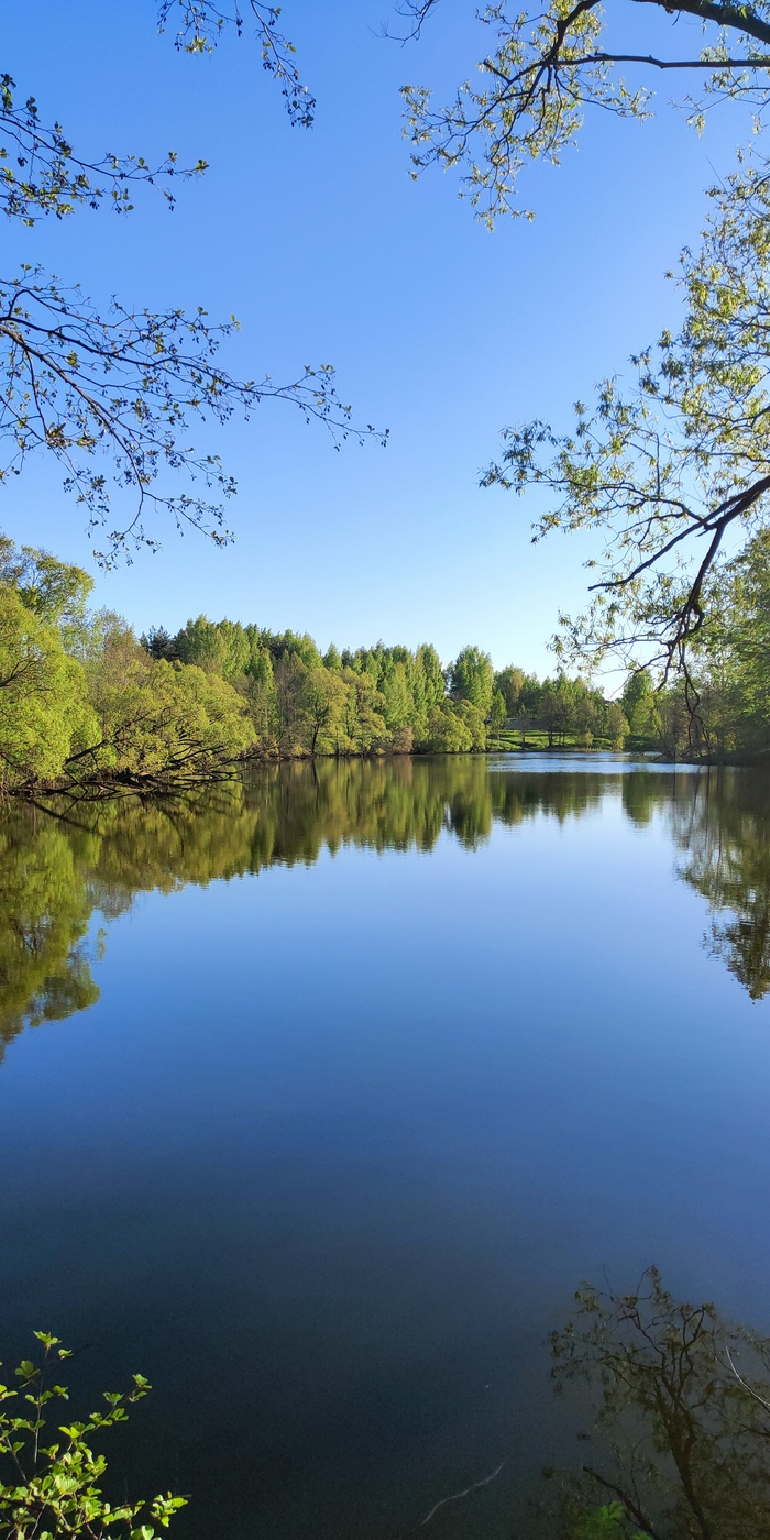 Шуя, Ивановская обл