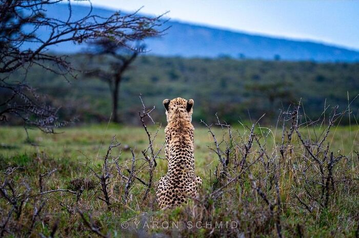 Осматривая окрестности