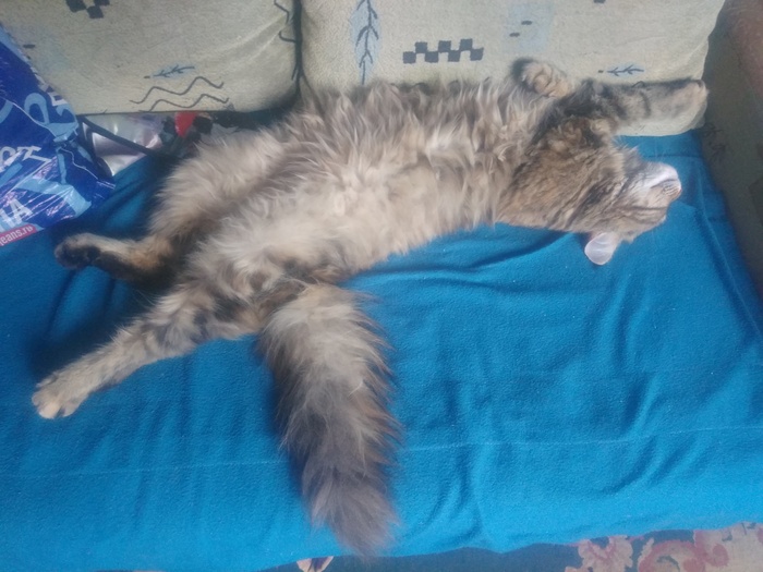 "  !" , 