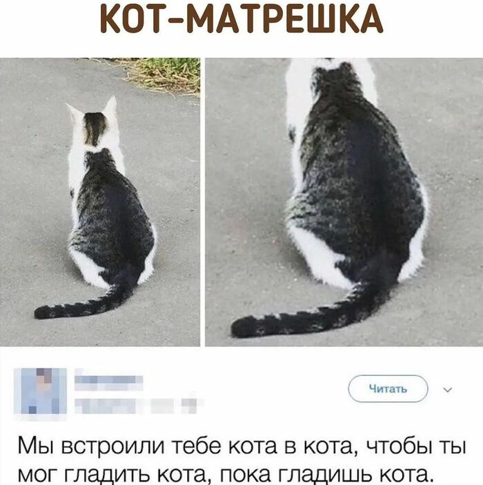  -  , , , , , 