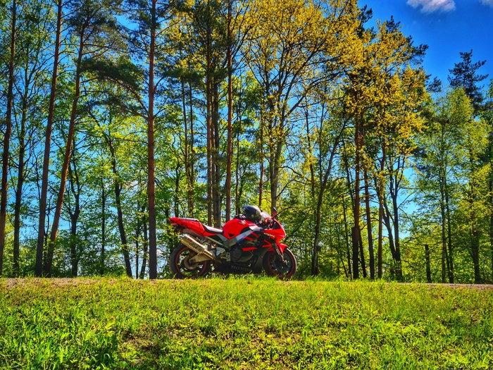 В ожидании подмоги