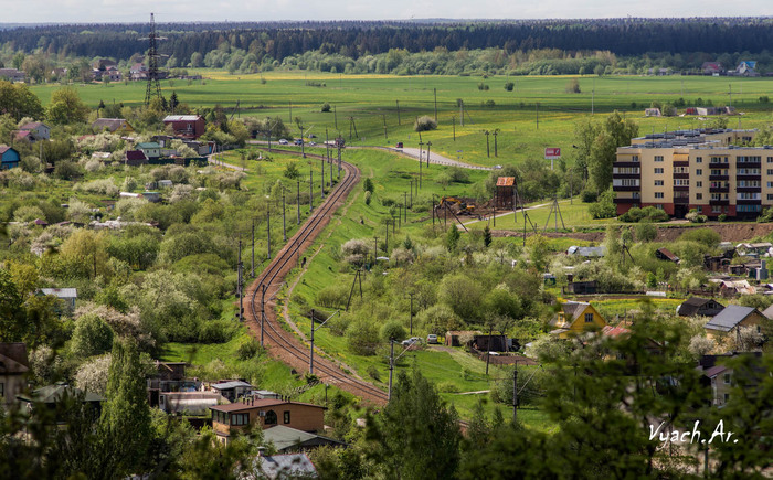 Прогулка Фотография, Санкт-Петербург, Природа, Прогулка, Парк, Длиннопост, Паук