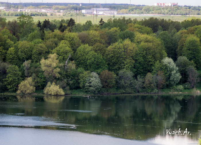 Прогулка Фотография, Санкт-Петербург, Природа, Прогулка, Парк, Длиннопост, Паук