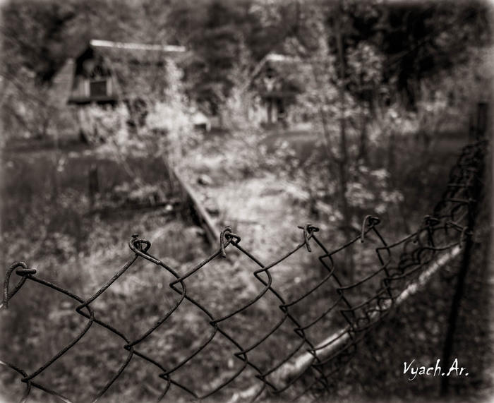 Прогулка Фотография, Санкт-Петербург, Природа, Прогулка, Парк, Длиннопост, Паук