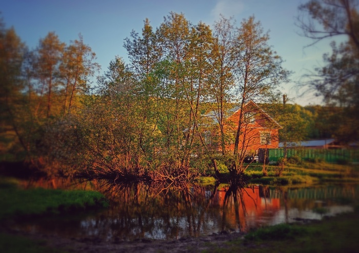 ����� � �������