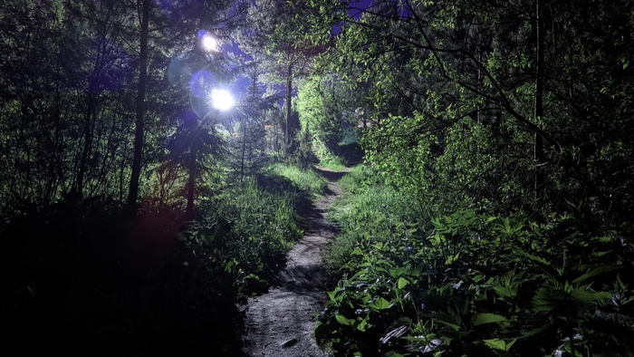 Тропа до дома