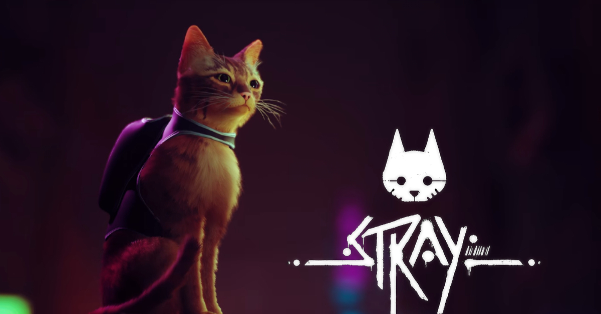 Игра кот стим. Stray игра 2022. Игра коты. Игра про котика 2022. Stray игра про кота.