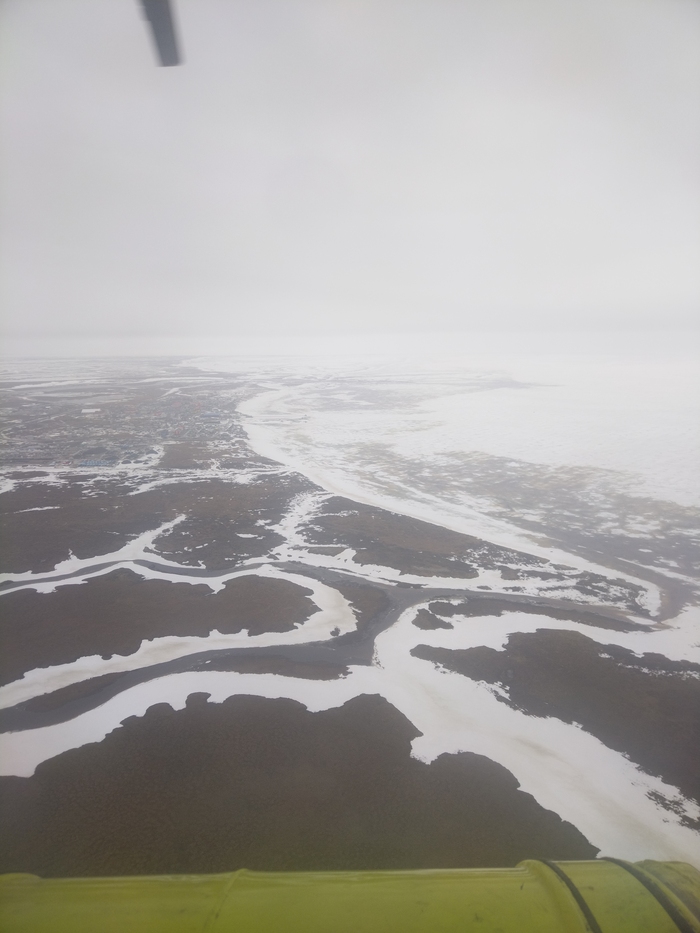 �� ����� ����))