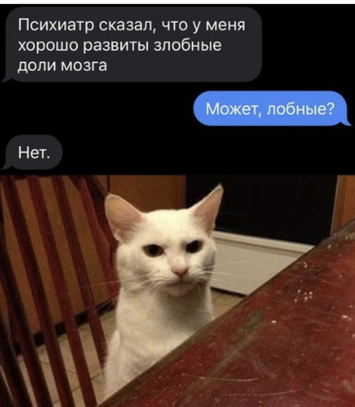 ������� ����