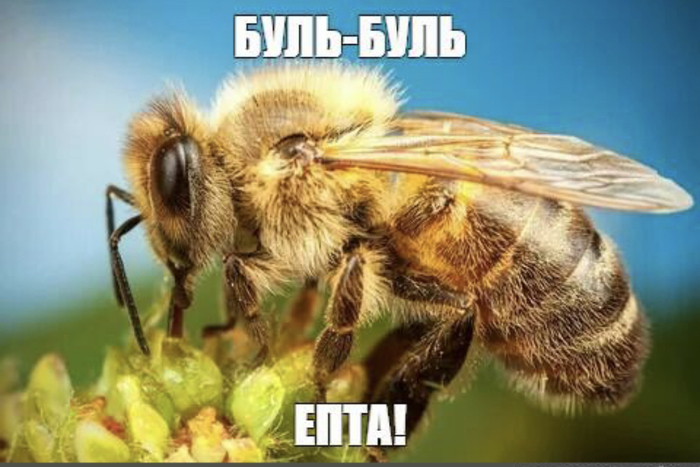 �������������� ��� �����/����